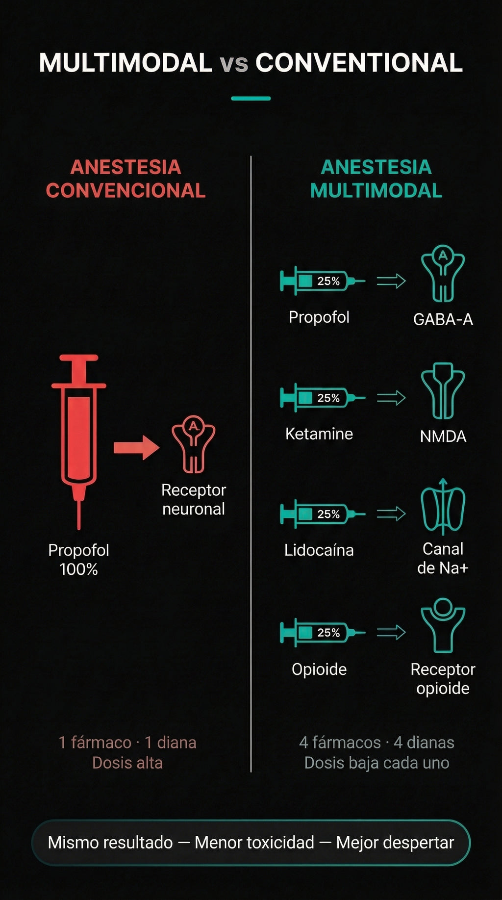 Curso Basico de Anestesia Neuroguiada