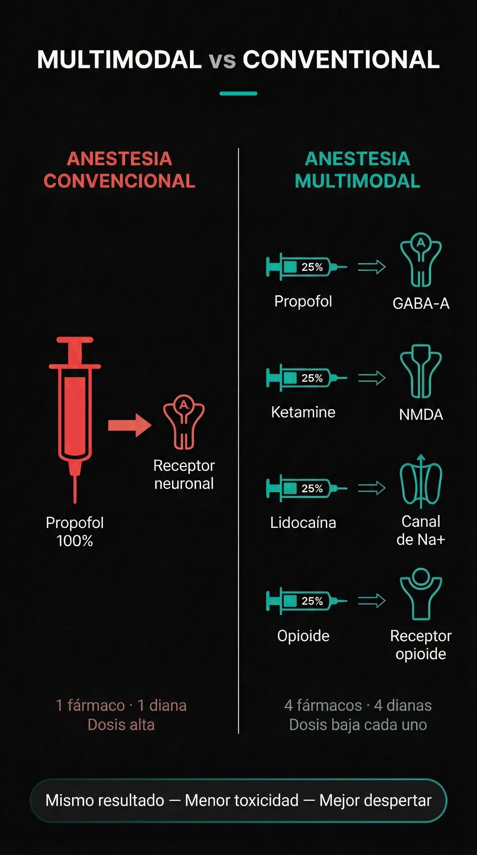 Curso Basico de Anestesia Neuroguiada
